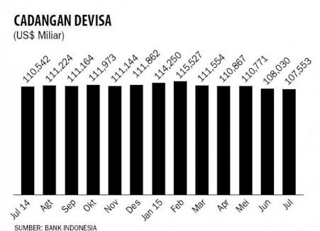 Cadangan devisa RI mengalami penurunan pada bulan juli dibanding bulan sebelumya