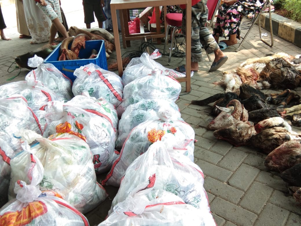 Hewan kurban yang akan di salurkan