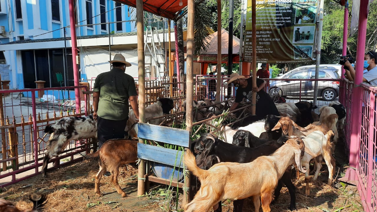 Pedagang hewan qurban di Kayuringin, Kota Bekasi