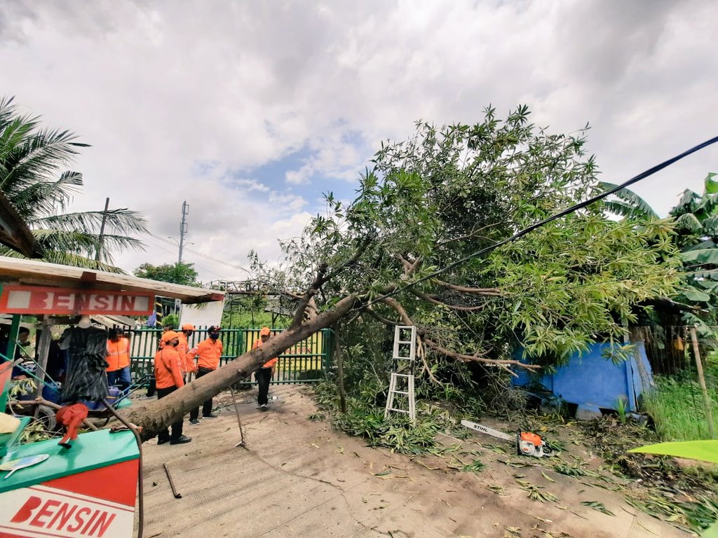 Hujan angin di Kota Bekasi menumbangkan pohon