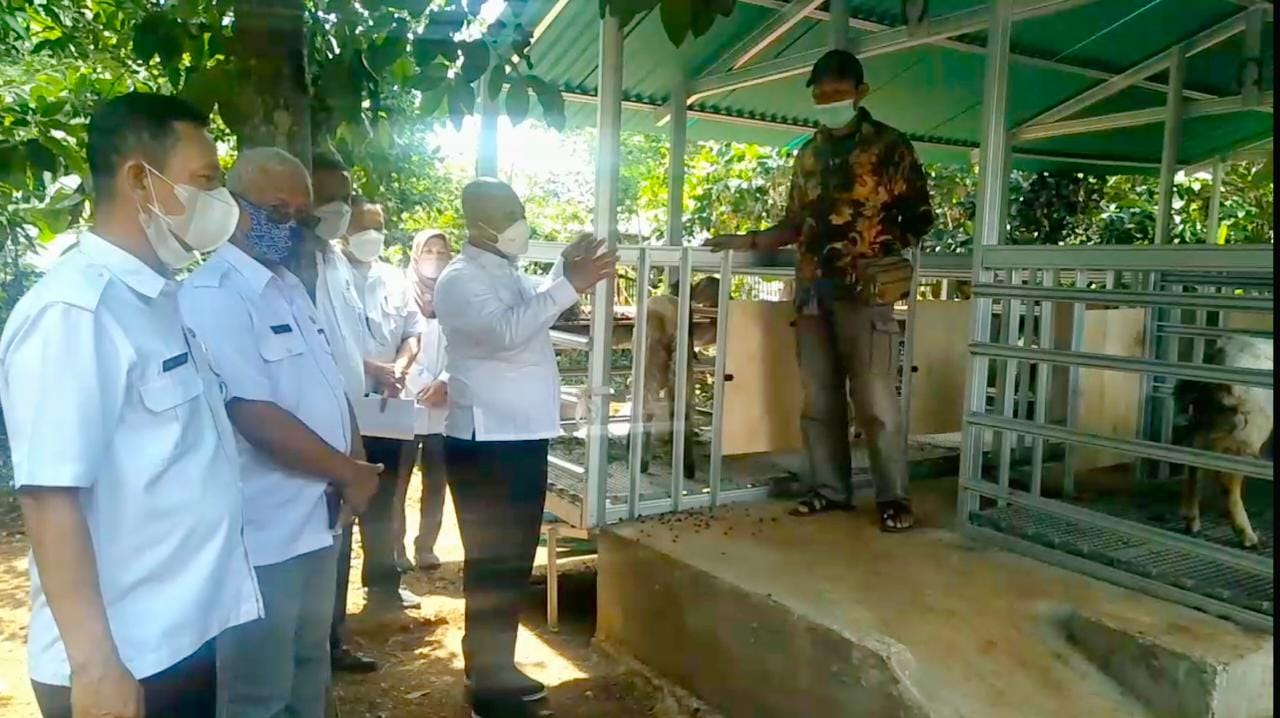 Walikota Bekasi mengunjungi peternakan kambin dan domba di Mustika Jaya