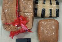 Barang bukti ganja yang diamankan Polda Metro Jaya