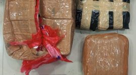 Barang bukti ganja yang diamankan Polda Metro Jaya